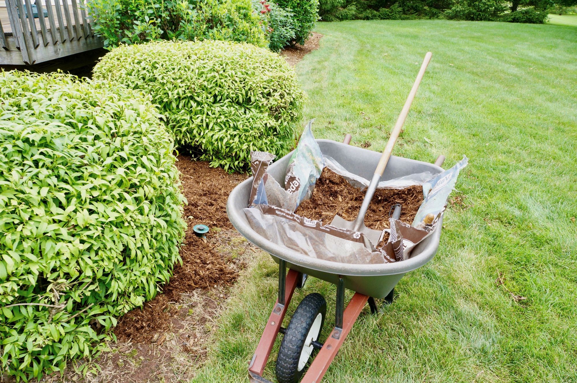 landscaping
