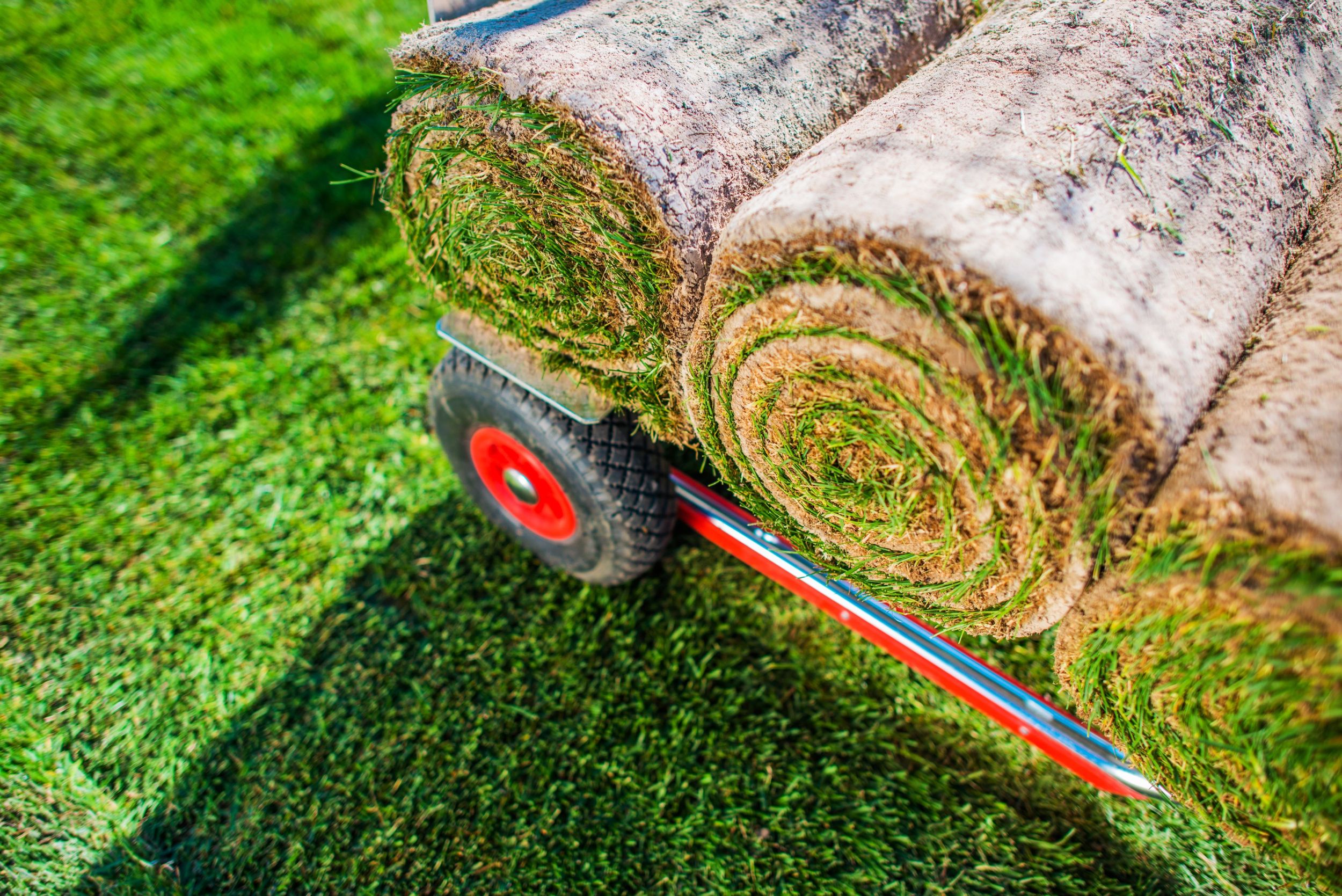 landscaping
